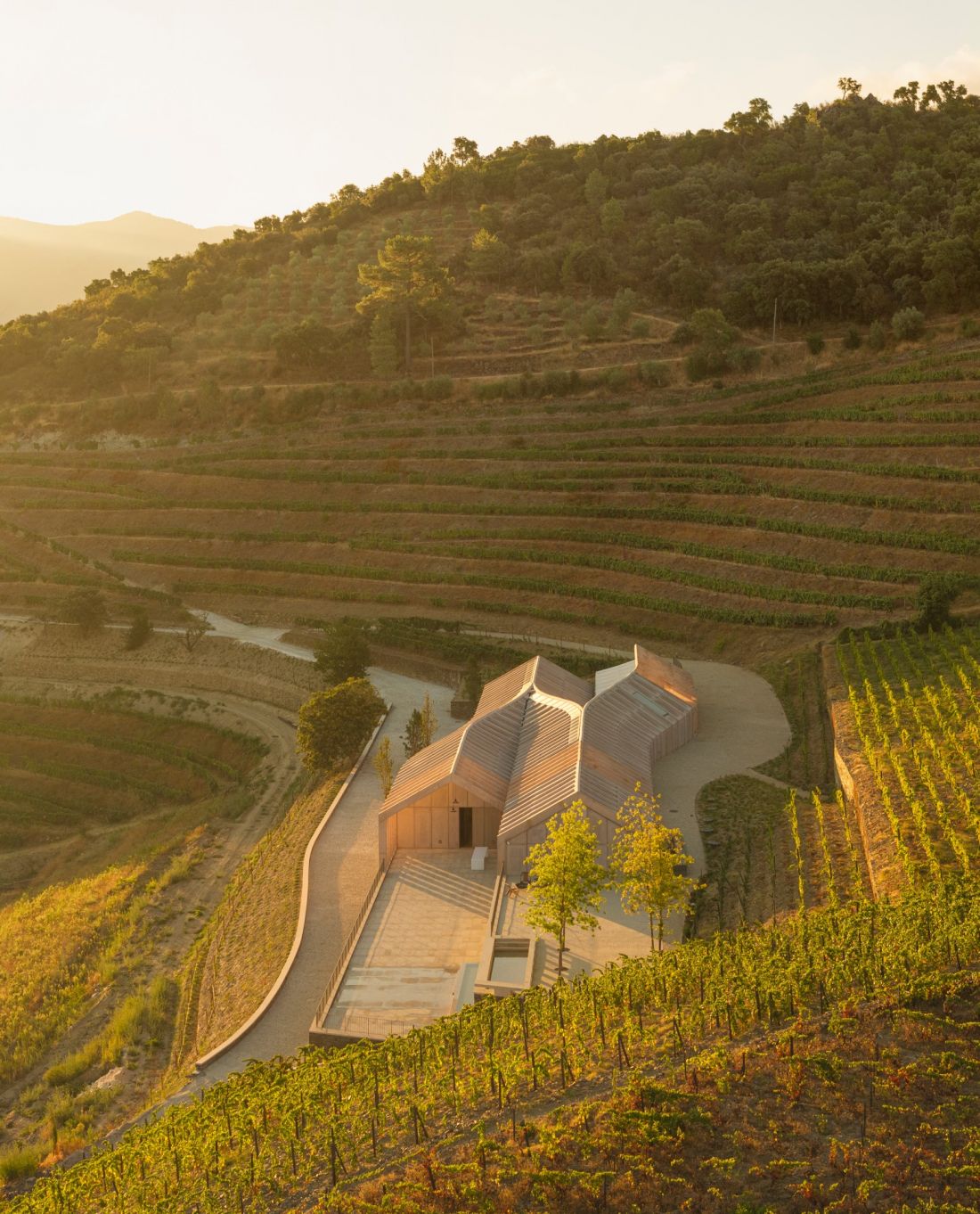 Quinta de Adorigo Winery w Douro