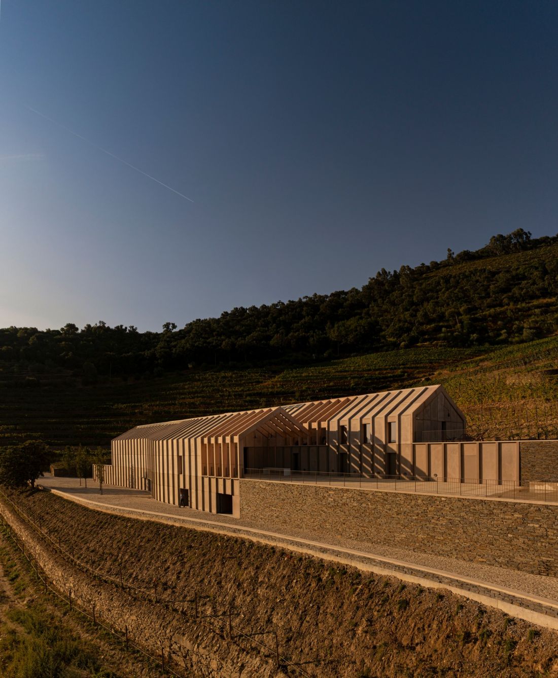 Quinta de Adorigo Winery w Douro