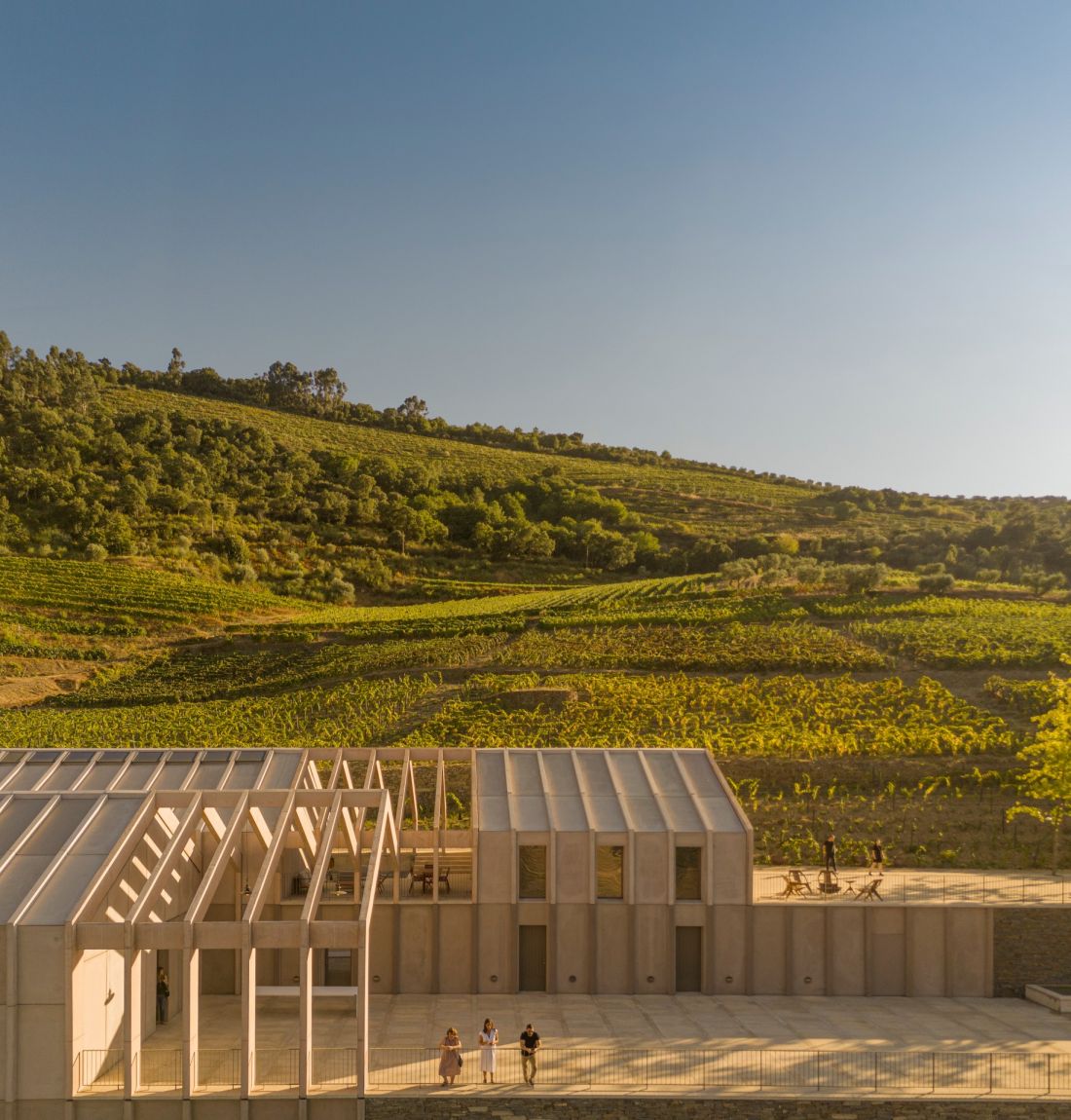 Quinta de Adorigo Winery w Douro