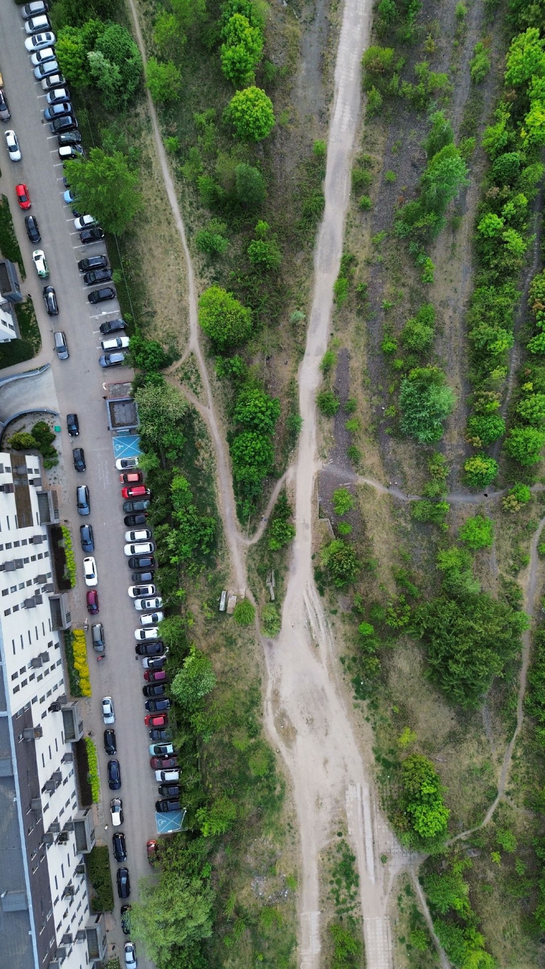 działka przeznaczona pod Park Henrykowski we Wrocławiu