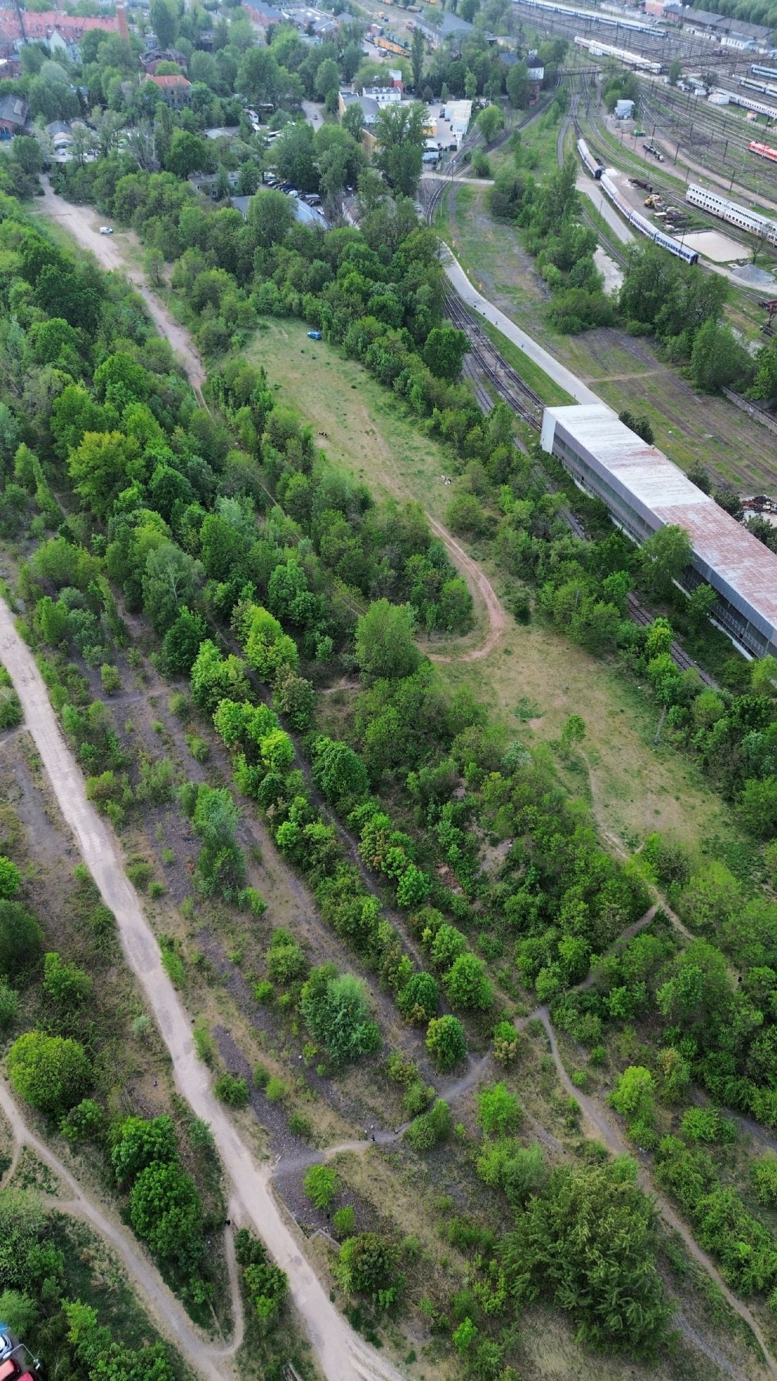działka przeznaczona pod Park Henrykowski we Wrocławiu