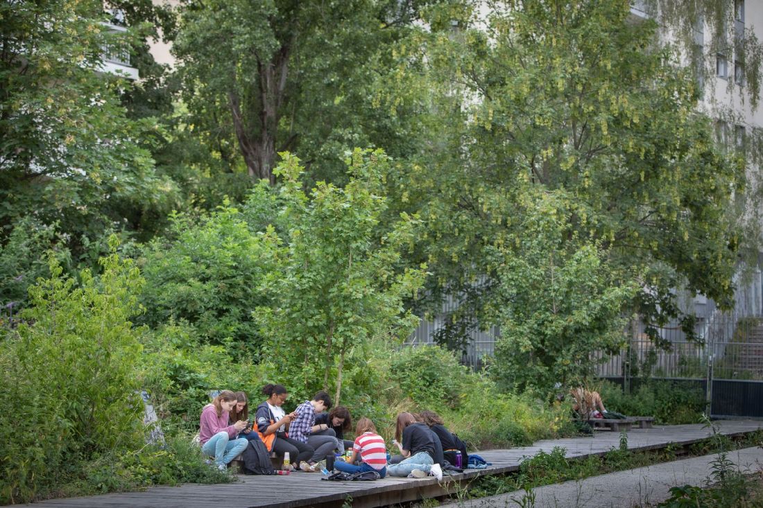 Dziki plac — Petite Ceinture, Paryż (Francja)