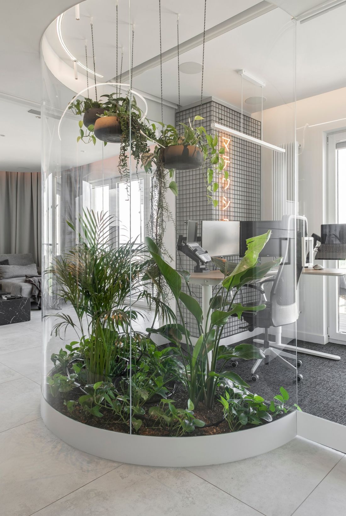 Domowa palmiarnia za giętym szkłem wprowadza do minimalistycznego apartamentu intensywną zieleń