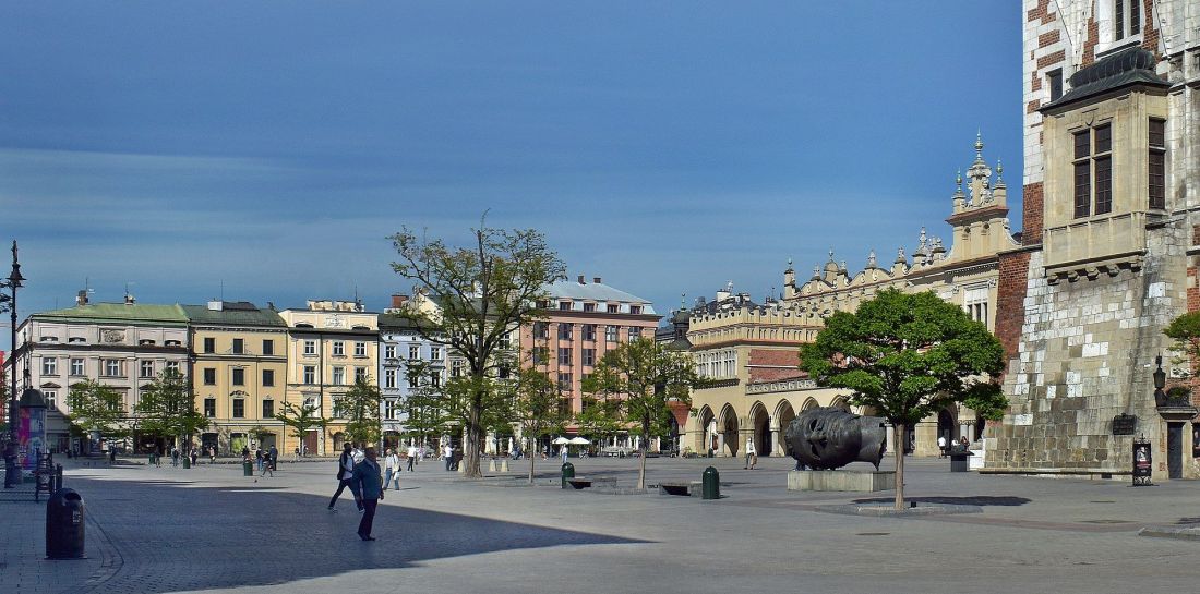 nowe nasadzenia planowane są między innymi w pobliżu Wieży Ratuszowej