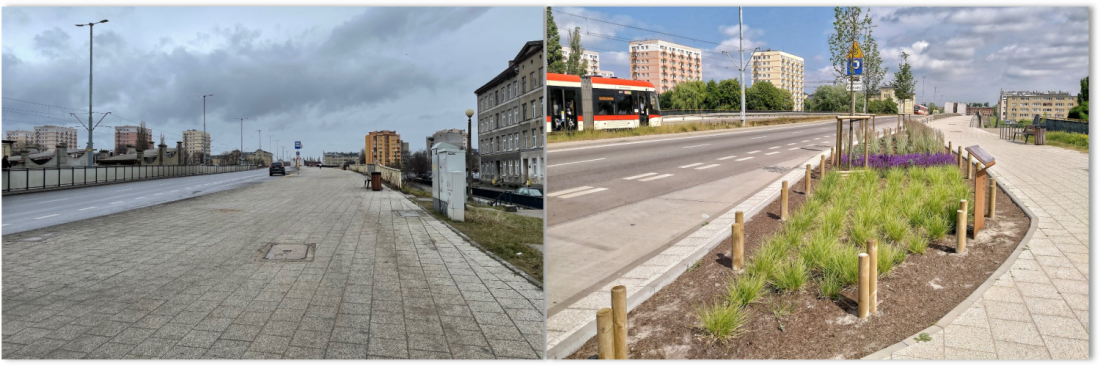 Zmiany na południowym cyplu Wyspy Spichrzów