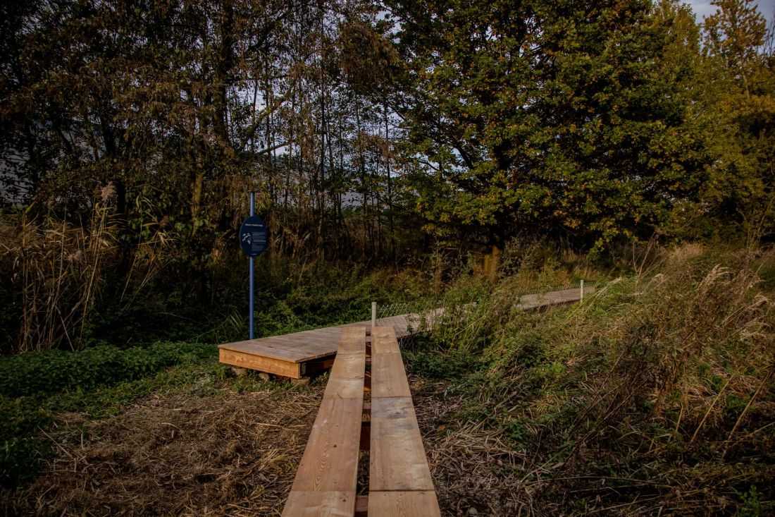 Serenity Park w Mysłowicach