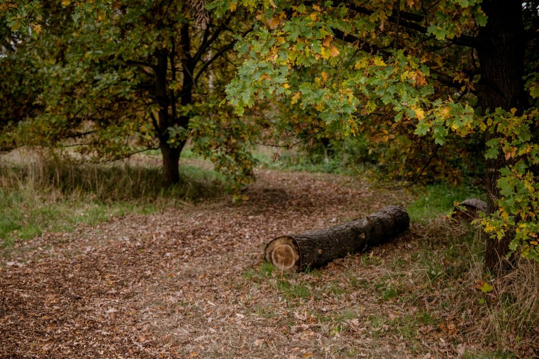 Serenity Park w Mysłowicach