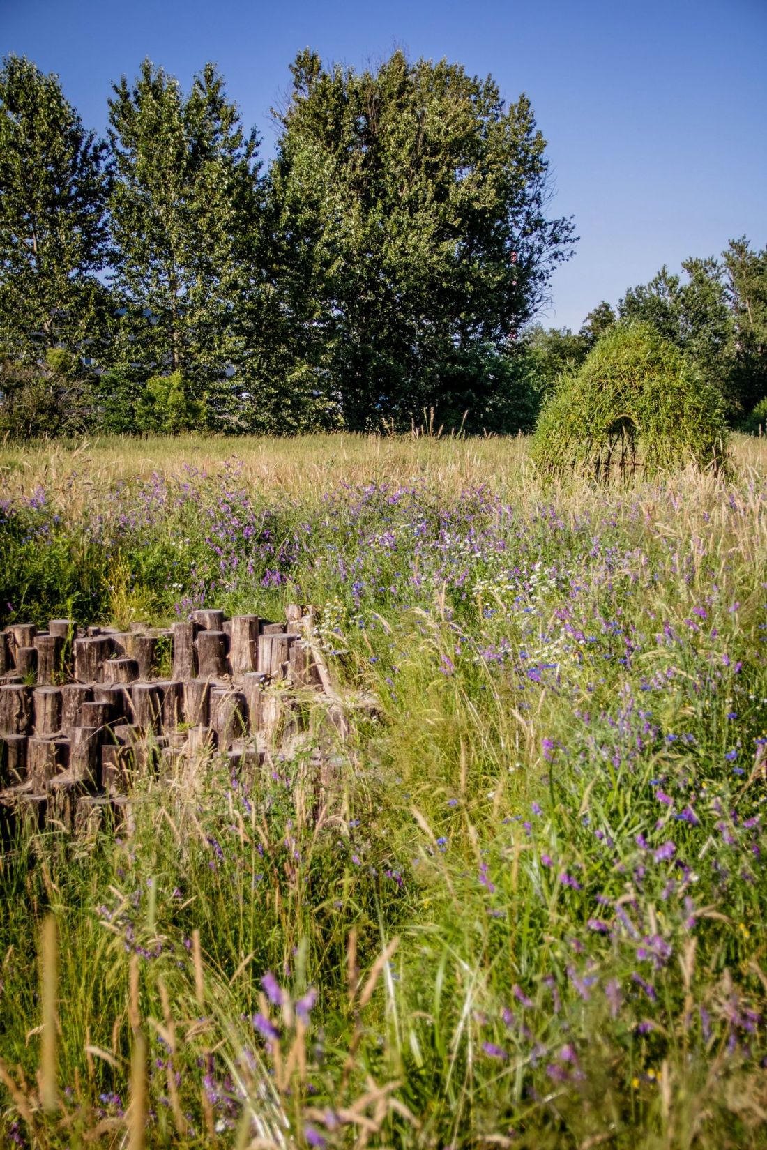 Serenity Park w Mysłowicach