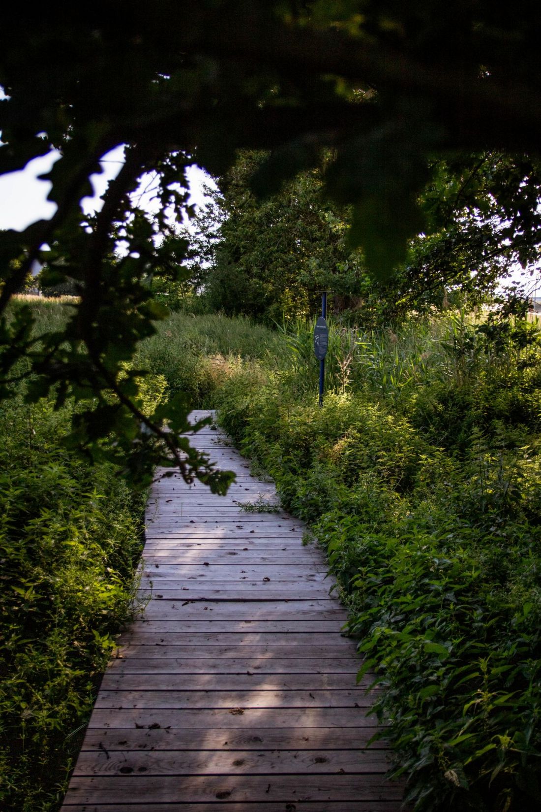 Serenity Park w Mysłowicach
