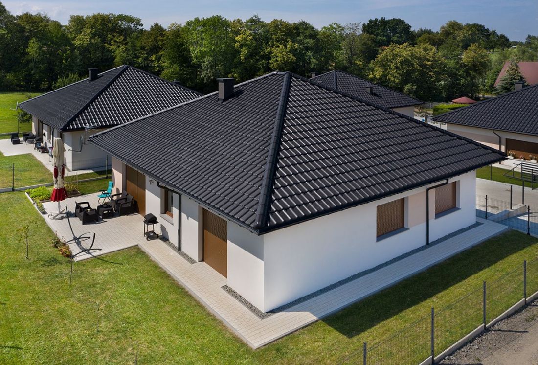 Holenderka płaska czy esówka - poznaj różnice