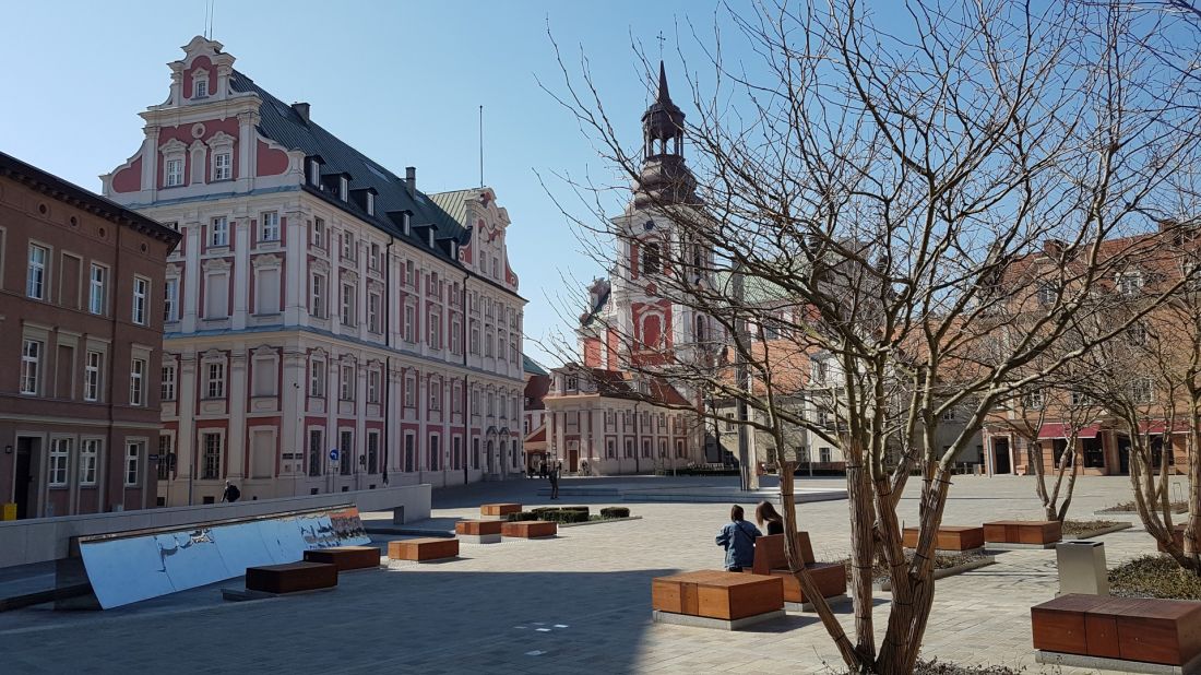 Plac Kolegiacki - platany fontanna ławki