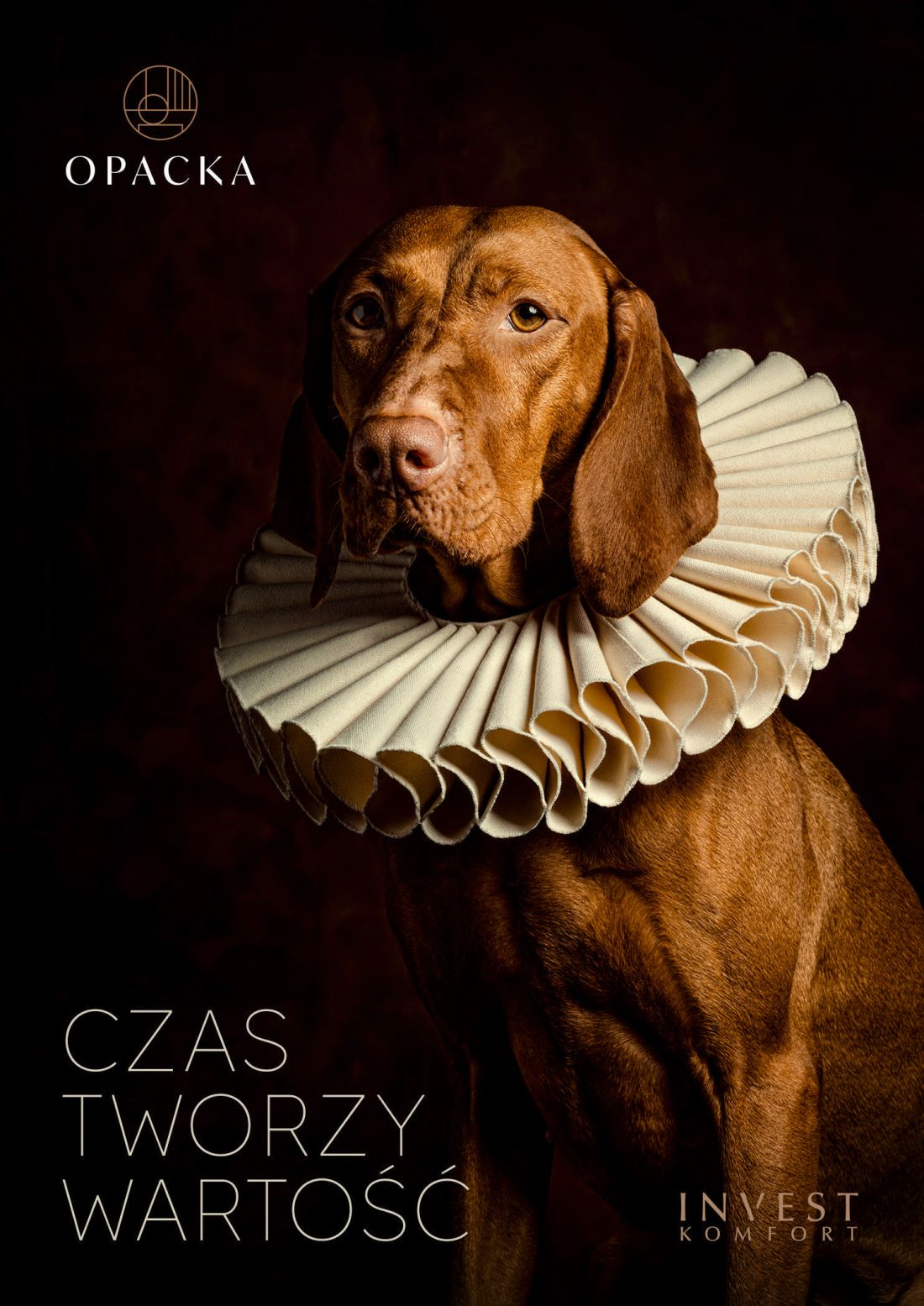 Portret psa – kampania „Czas tworzy wartość”