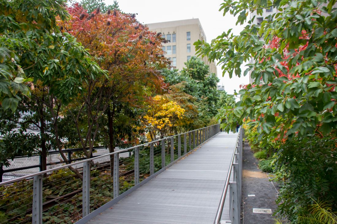 High Line Park w Nowym Jorku