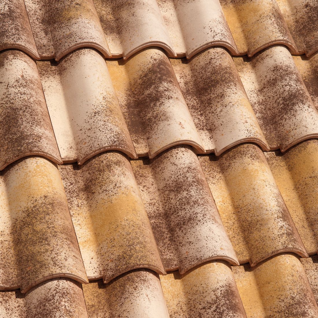 Ceramiczna dachówka antyczna Tuscany Tognana - kolor Moonlight, zbliżenie 