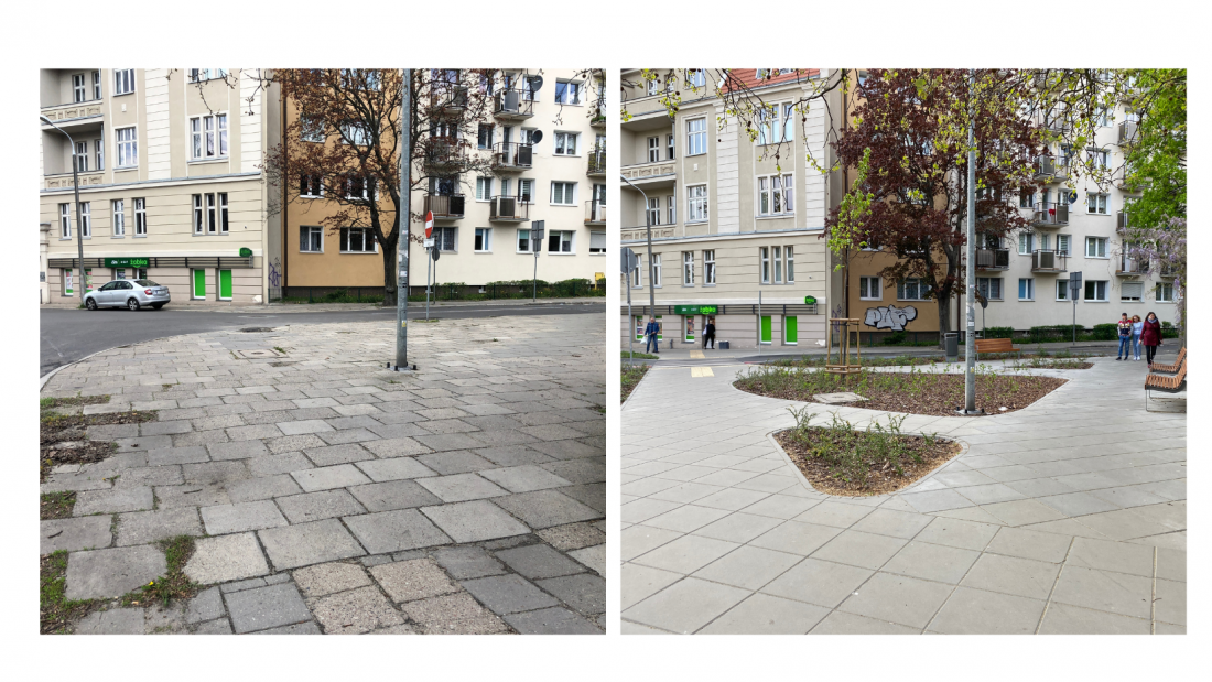 Stowarzyszenie zapowiada dalszą walkę o zieleń na ulicach Bydgoszczy