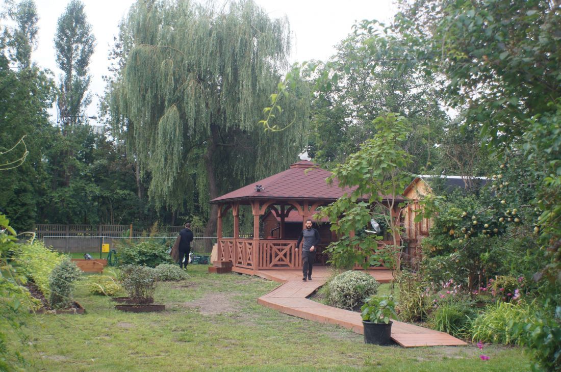 Ogrody działkowe