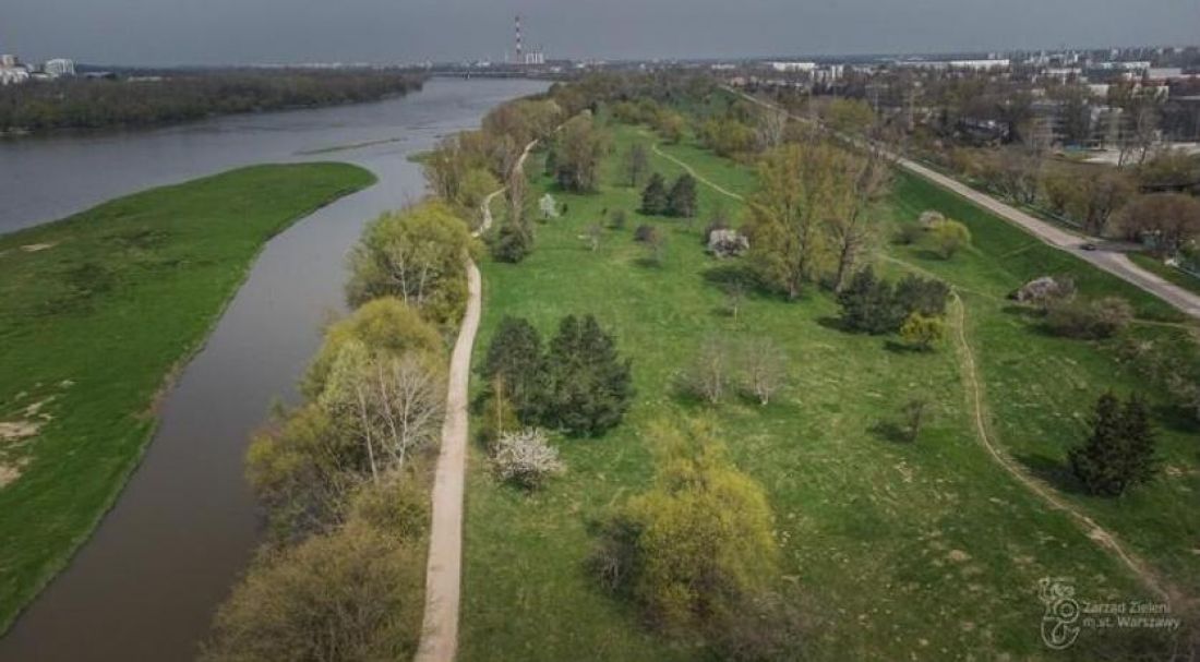 Golędzinów