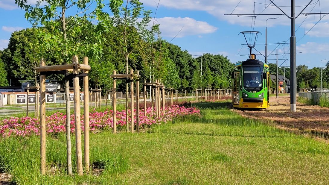 tramwaj na Naramowice