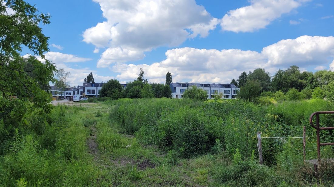 Poznań Podolany, dzika zieleń