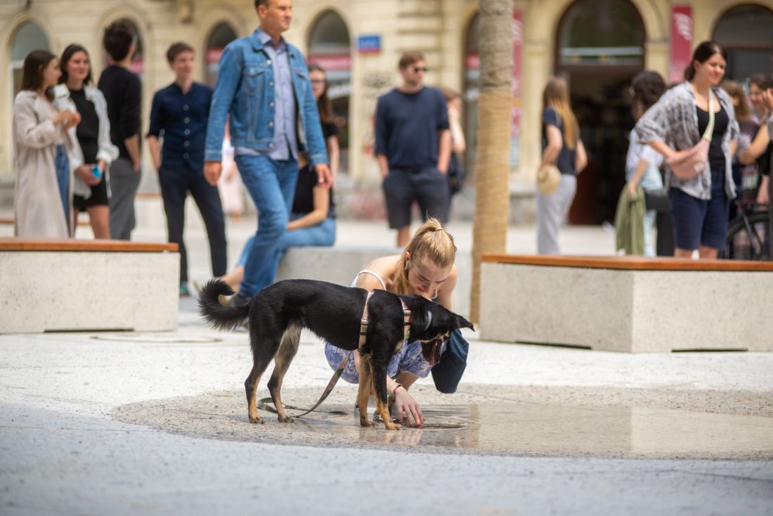 plac pięciu rogów ludzie sadzawka