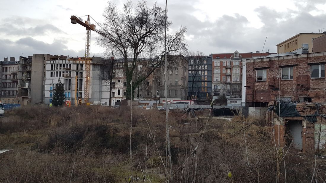 Teren dawnego szpitala po wyburzeniach i wycince drzew.