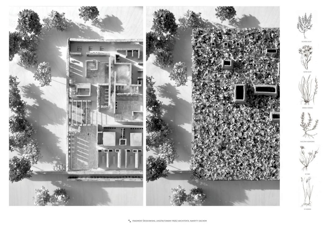 fragment środowiska ukształtowanego przez architekta, nakryty dachem