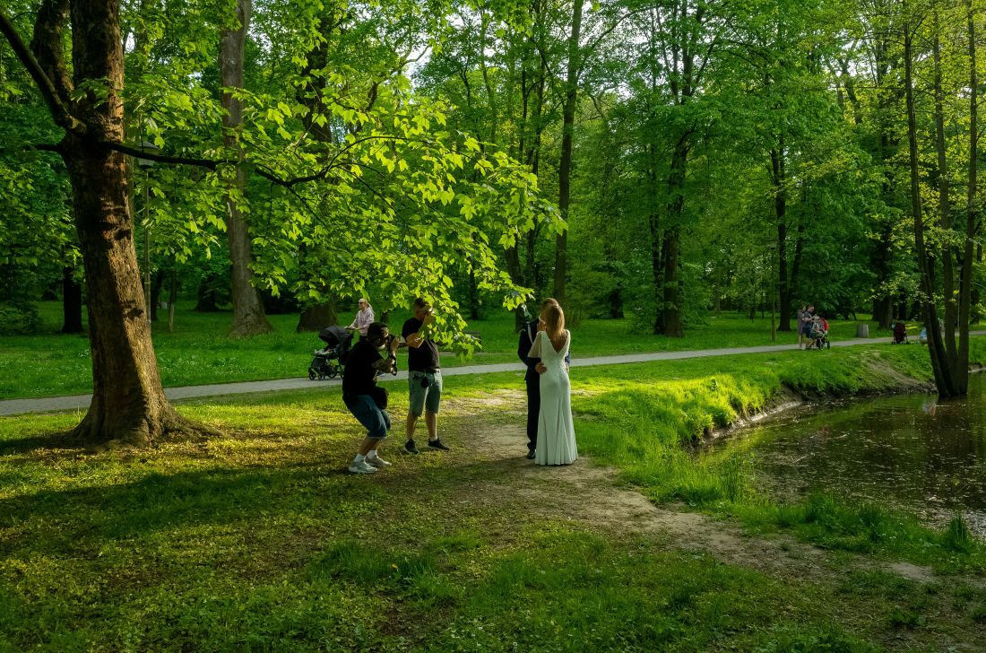 Park Szafera