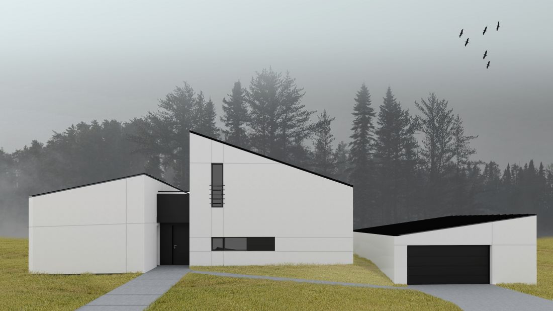 Projekt domu z lasem w Mikołowie