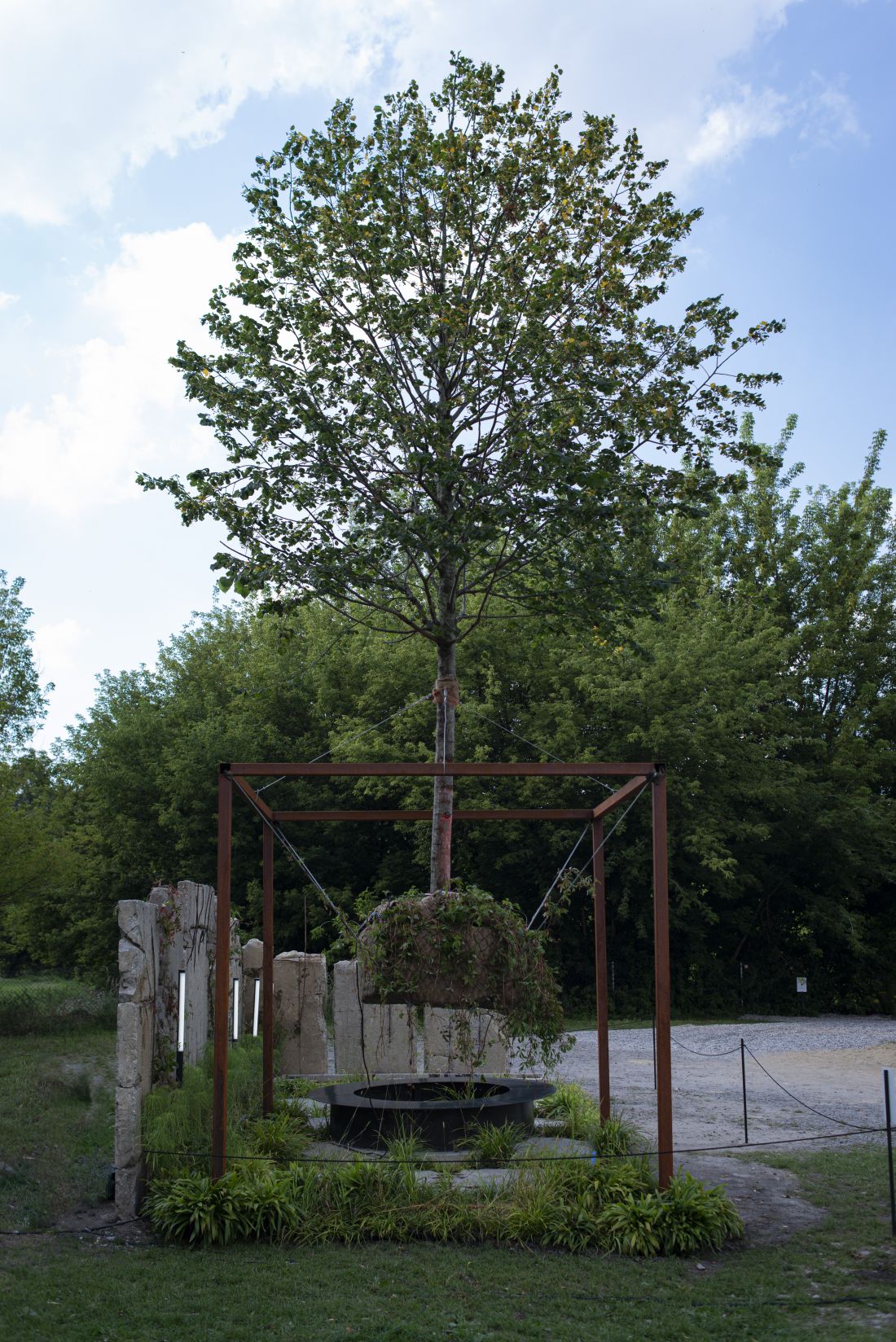 Ogród pokazowy - zarastanie