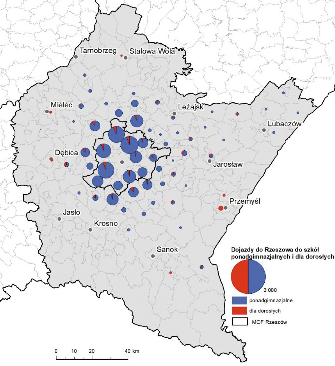  miasta obsługują nie tylko swoich mieszkańców; popyt na transport w ich obrębie generują także przyjeżdżające z daleka osoby korzystające z usług