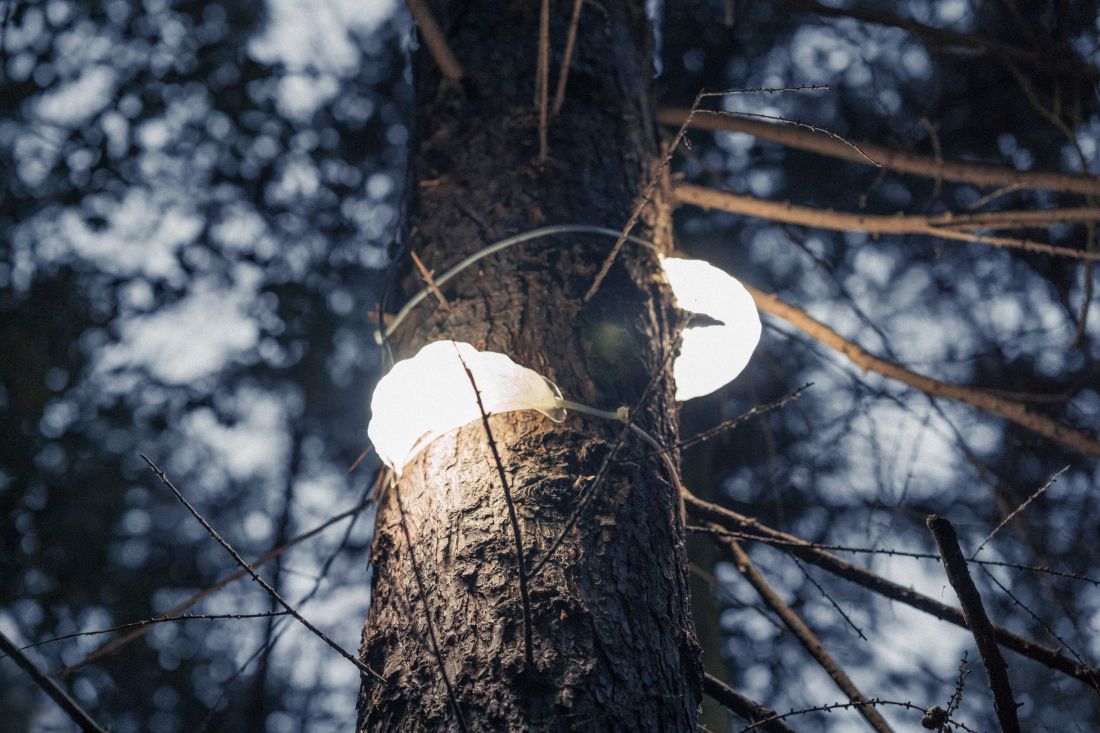 HUBY – wyjątkowe lampy przystosowane do przestrzeni leśnej