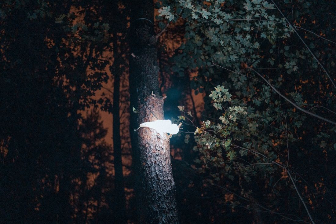 HUBY – wyjątkowe lampy przystosowane do przestrzeni leśnej