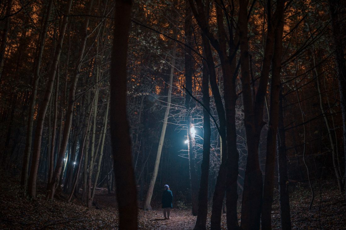 HUBY – wyjątkowe lampy przystosowane do przestrzeni leśnej