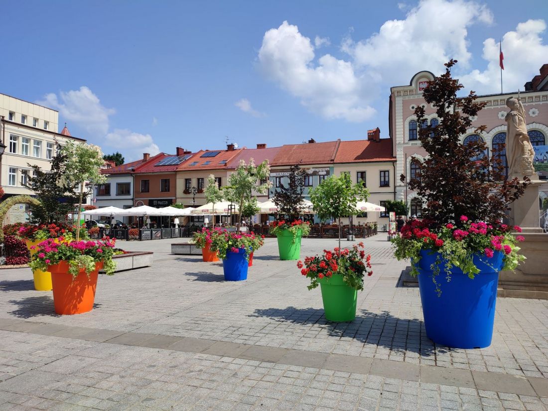 Żywiec