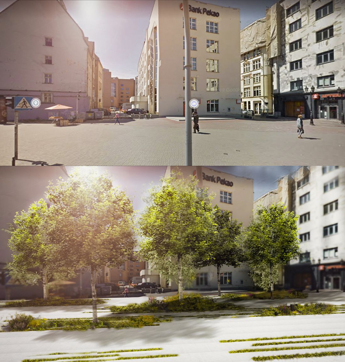 Zazielenianie ulicy Ruskiej we Wrocławiu