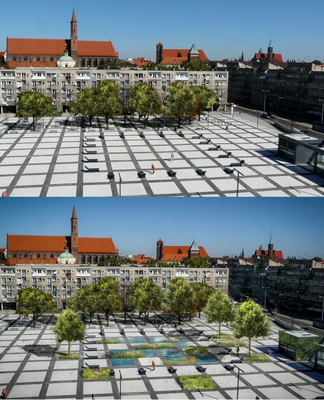 Propozycja Mossmoss zazielenienia placu Nowego Targu we Wrocławiu