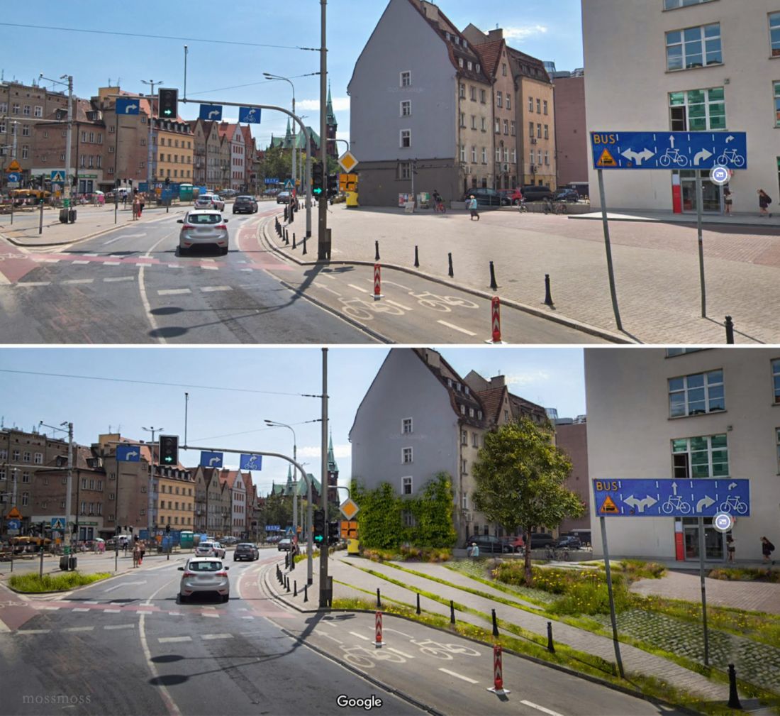 Zazielenianie ulicy Ruskiej we Wrocławiu