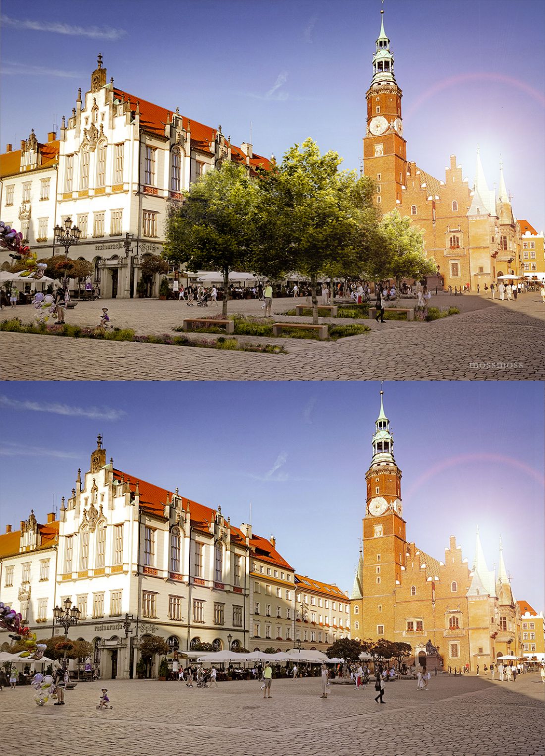 Zazielenianie Rynku we Wrocławiu