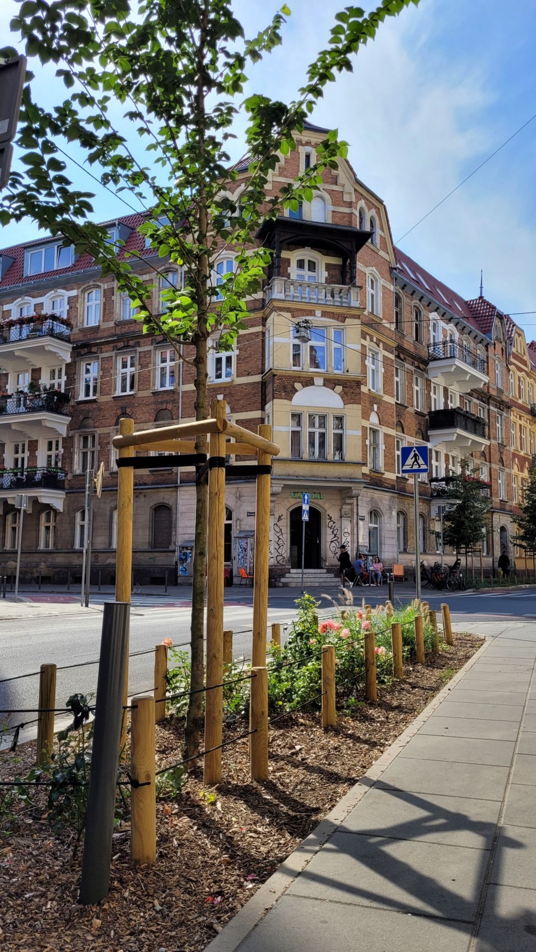 Nowa zieleń i drzewa na ul. Małeckiego, Poznań