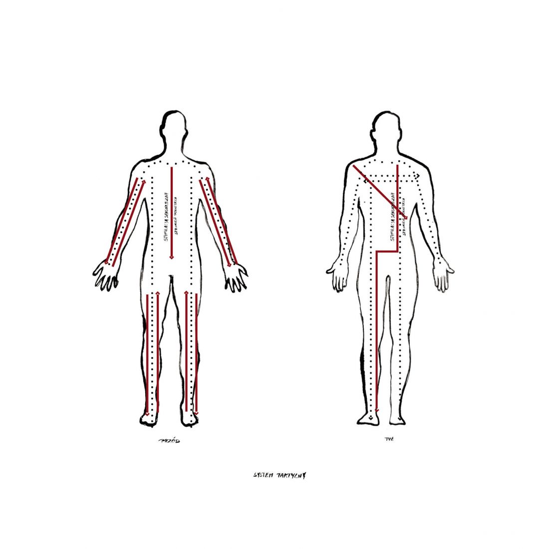 mapa taktylna ciała ilustracja na podstawie schematów anatomicznych