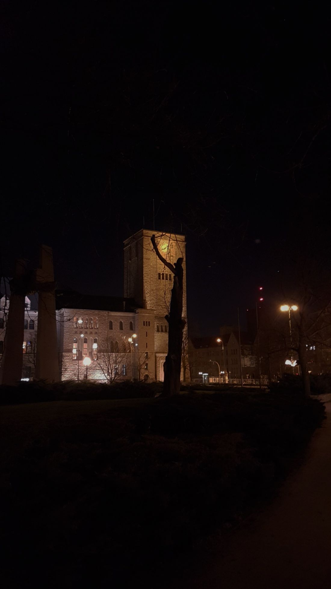 iluminacja zamek poznań 
