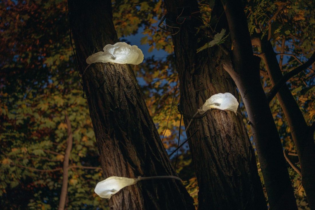 HUBY - wyjątkowe lampy przystosowane do przestrzeni leśnej