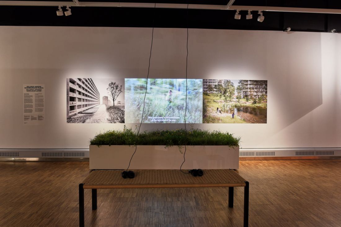 „Gellerup: Mission Neighbourhood Plants”