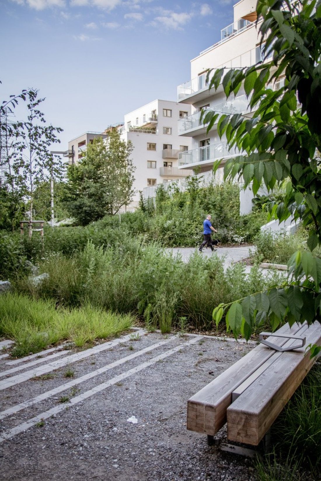 PoPo park