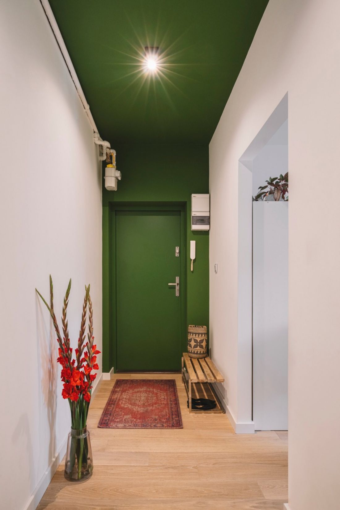 Green ceiling
