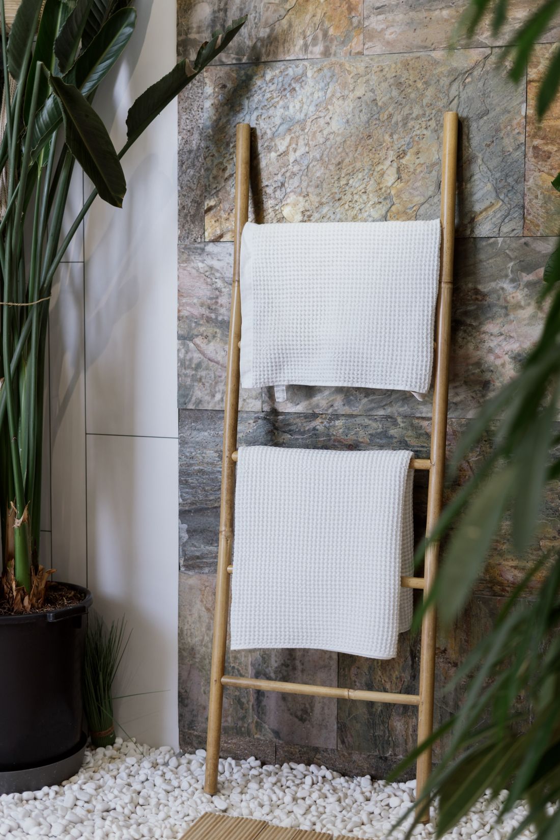 Ladder type stand