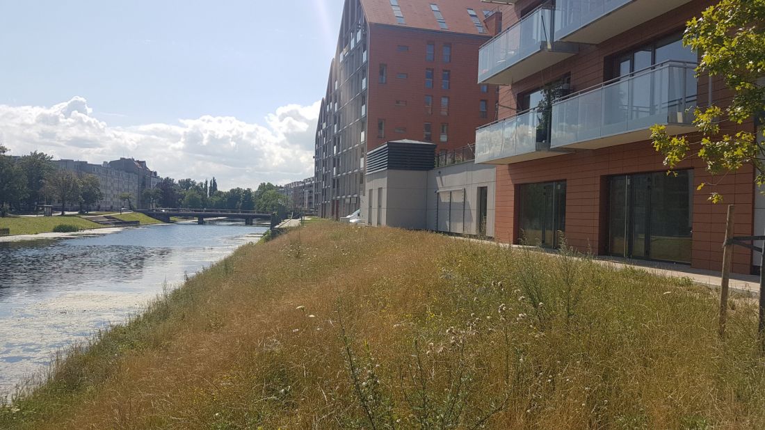 Gdańskie Bookingcom Island czyli Wyspa Spichrzów