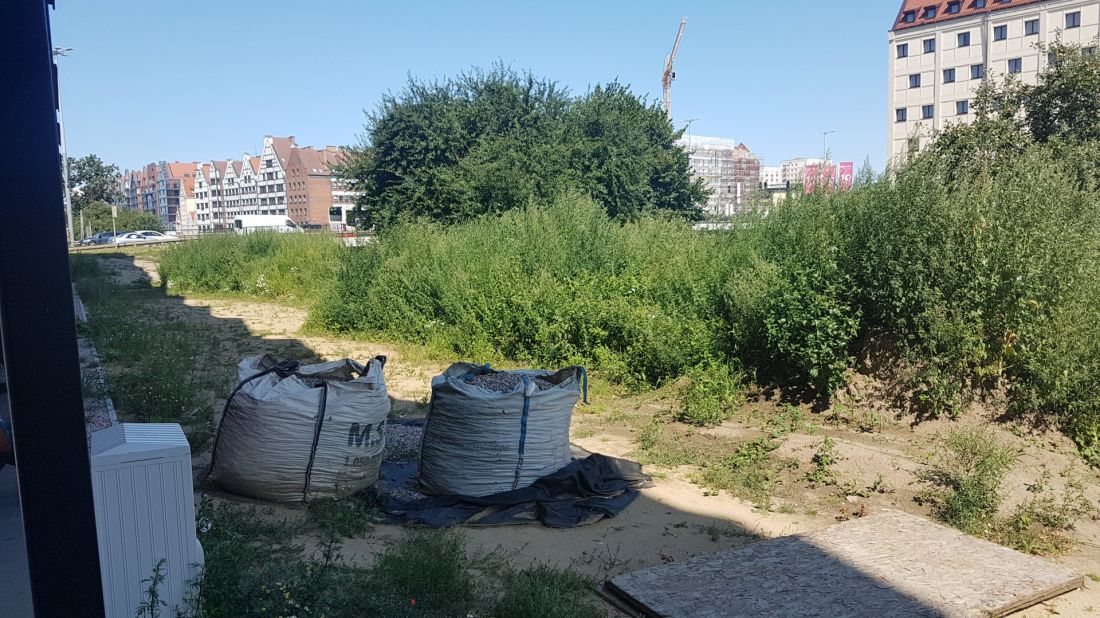 Gdańskie Bookingcom Island czyli Wyspa Spichrzów