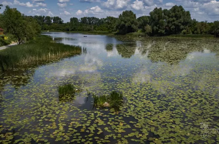 Marshes and rushes will return between settlements