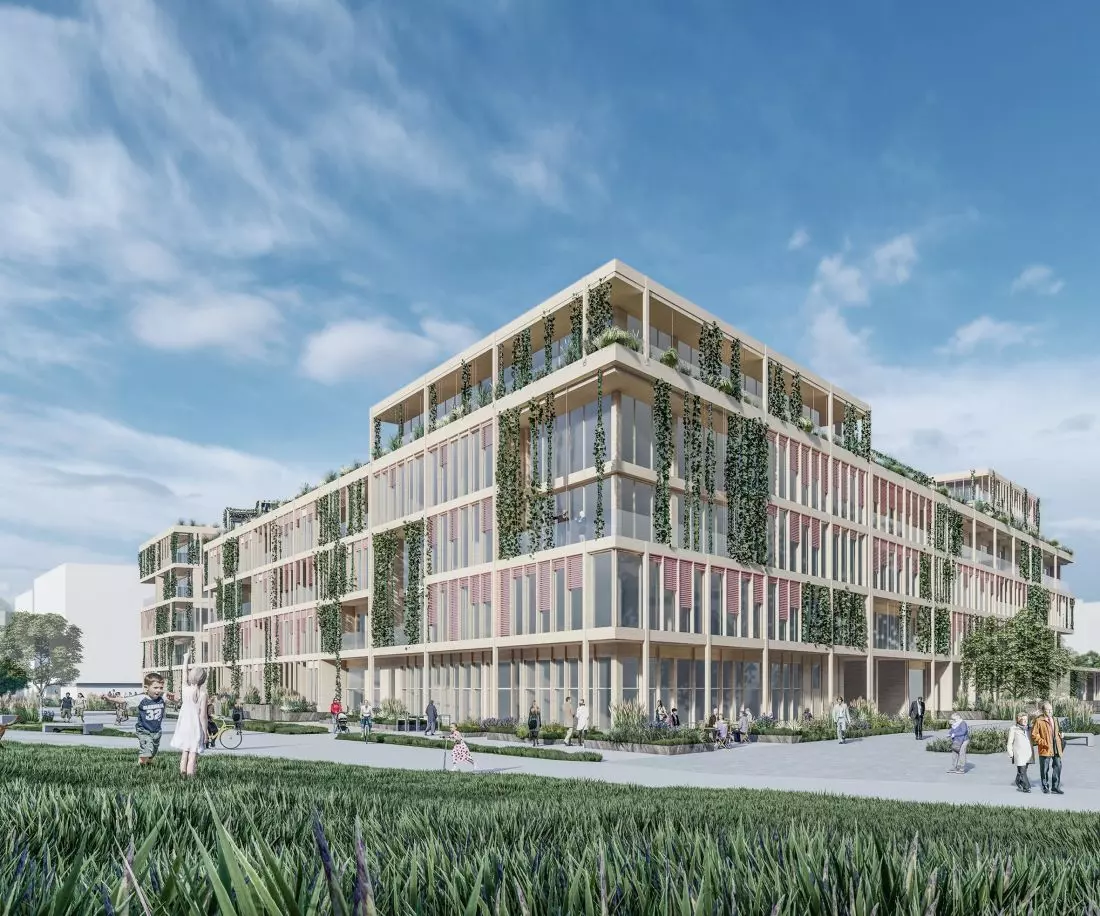 Urban Pill.
ZDROWE MIASTO = ZDROWY DOM
